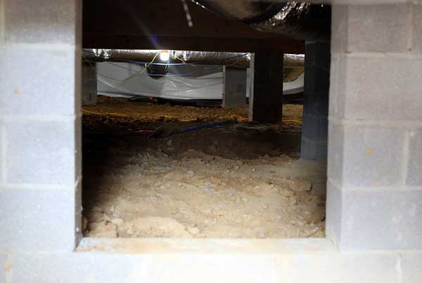 crawl space pests signs